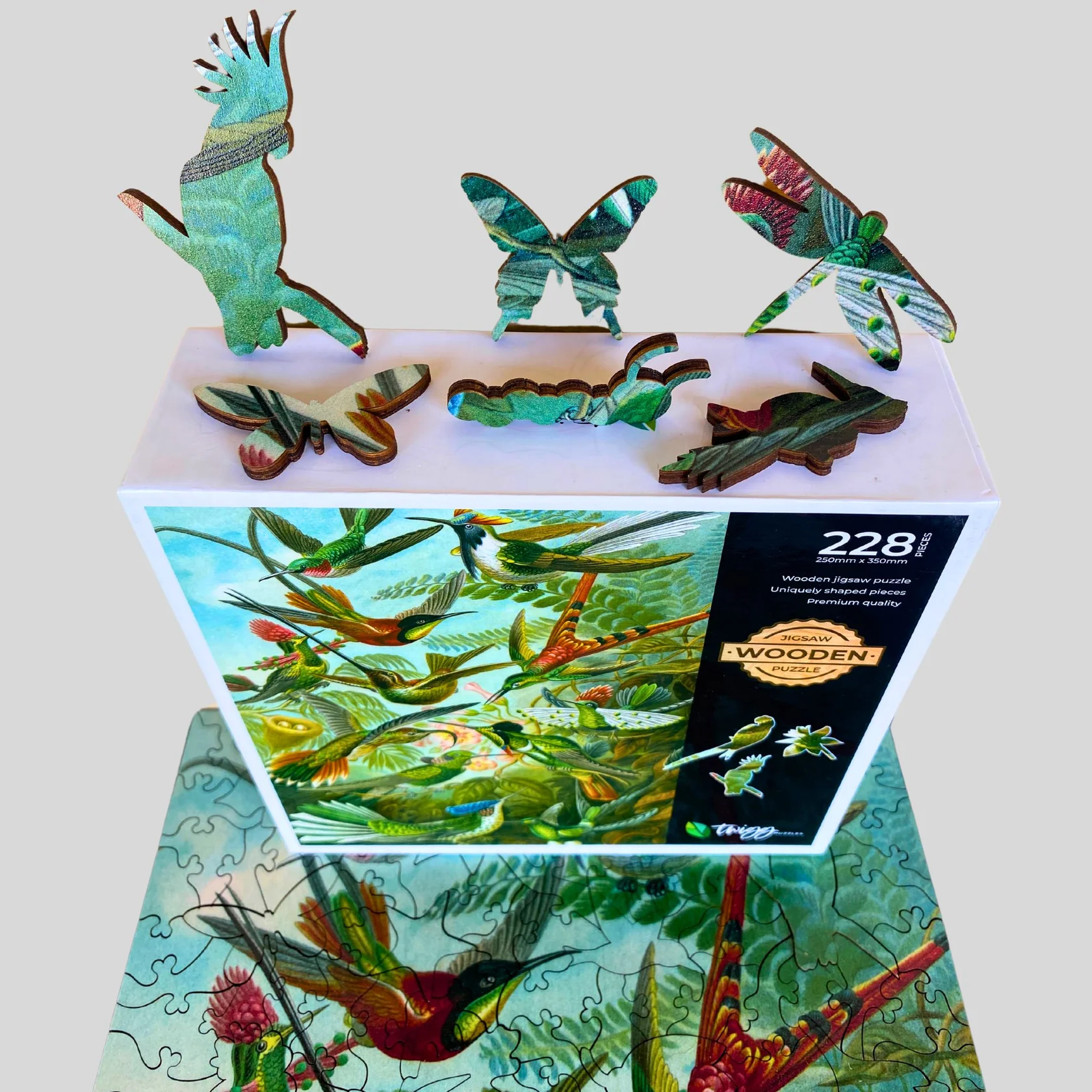 Hummingbirds2