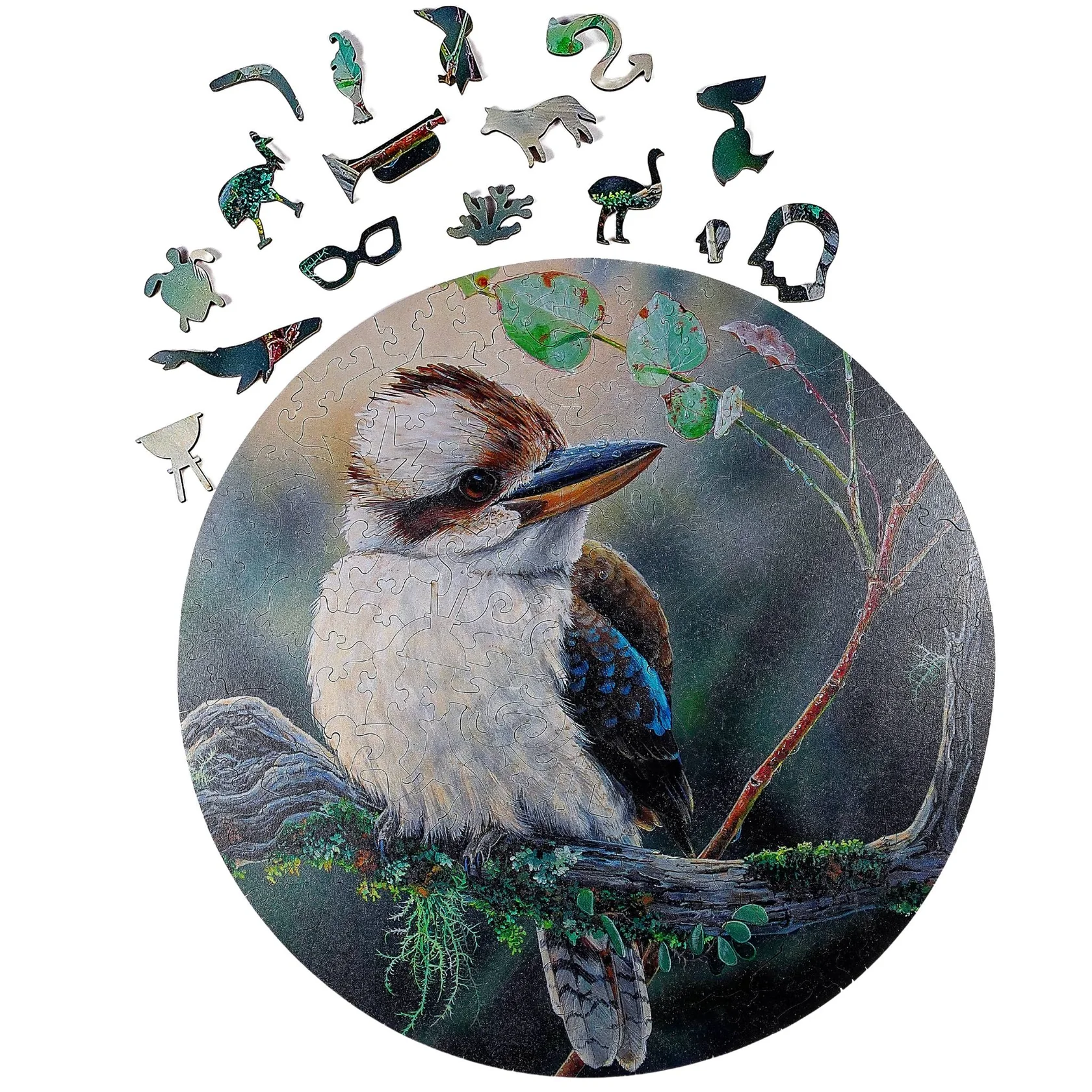 Kookaburra Main