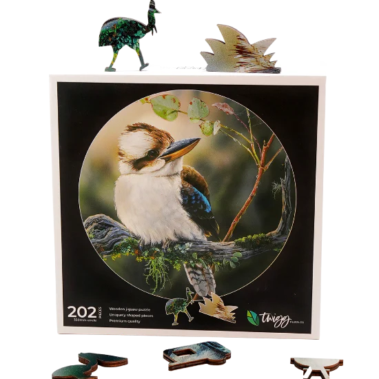 Kookaburra3