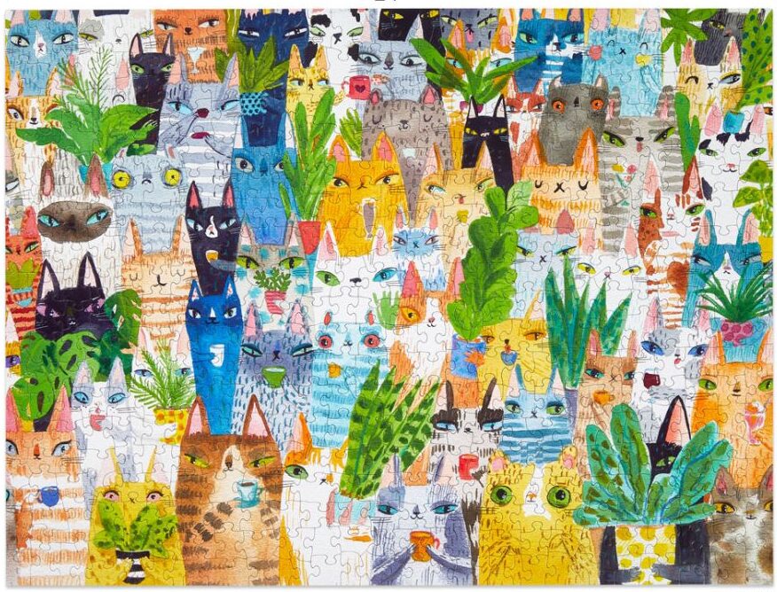 Cat plant exchange 3